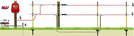 Conținutul de bovine prin Garduri electrice