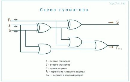 Адер и половина-ехидна