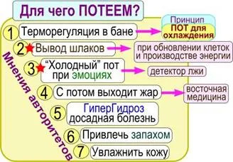 Температурата в руска баня, която температурата и влажността трябва да бъде в банята, натрупване баня