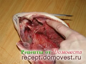 Пълнени сьомга - рецепти от domovesta