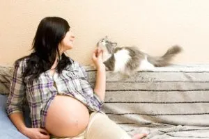 Токсоплазмоза в бременност ефекти върху плода, снимки
