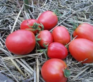 Домати де бар (50 снимки) черни и розови гигантски сортове домати, как да растат в оранжерия, това, което