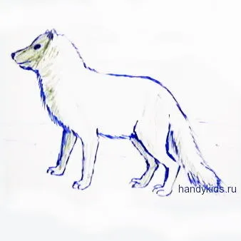 Tundra felhívni lépésről lépésre - lépésről lépésre, hogyan kell felhívni állatok állat ceruzarajzokkal