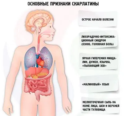 Тежки дихателни причини за детето и за възрастни, лечение