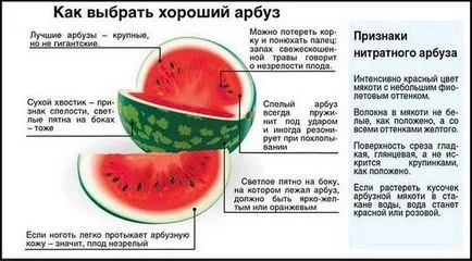 Aflați cum să alegeți un pepene delicios și pepene galben, comandantul portal de informații