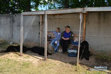 A avut loc în Bobruisk Republican Dog Show - Bobruisk