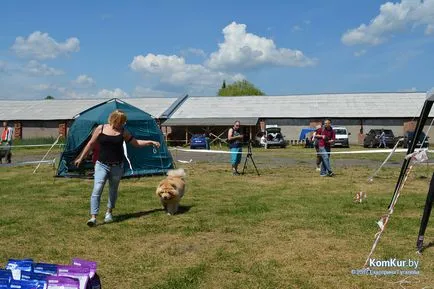 A avut loc în Bobruisk Republican Dog Show - Bobruisk