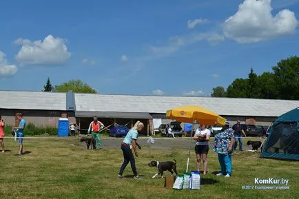 A avut loc în Bobruisk Republican Dog Show - Bobruisk