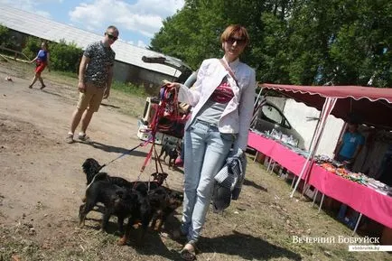 A Bobruisk volt a verseny kutya szépség