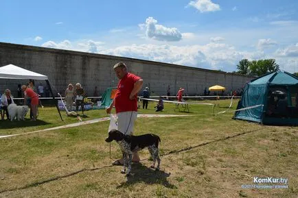 A avut loc în Bobruisk Republican Dog Show - Bobruisk