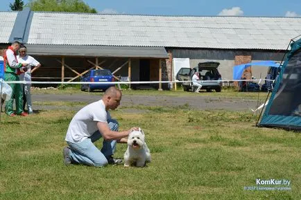 A avut loc în Bobruisk Republican Dog Show - Bobruisk