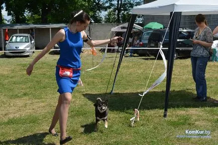 A avut loc în Bobruisk Republican Dog Show - Bobruisk