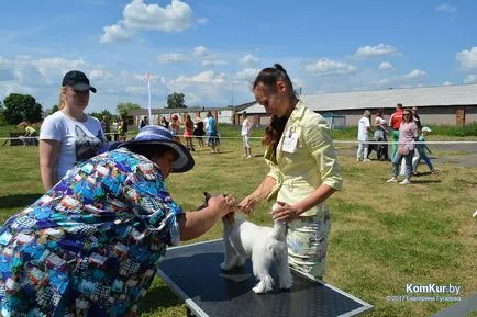 A avut loc în Bobruisk Republican Dog Show - Bobruisk