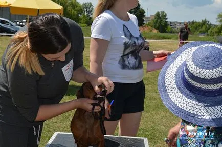 A avut loc în Bobruisk Republican Dog Show - Bobruisk