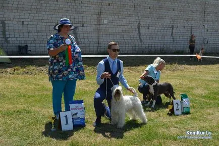 A avut loc în Bobruisk Republican Dog Show - Bobruisk