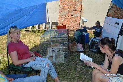 A avut loc în Bobruisk Republican Dog Show - Bobruisk