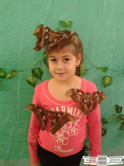 Изложба на тропически пеперуди
