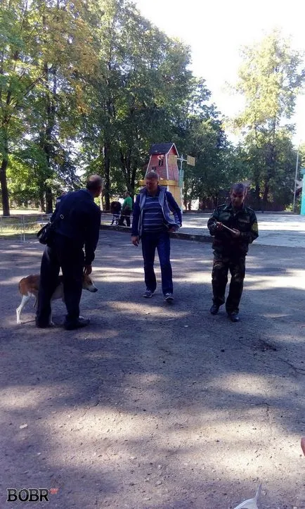 Изложбата на ловни кучета се проведе в Бобруйск Бобруйск - Новини