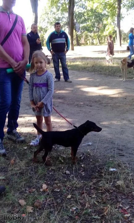 Expoziția de câini de vânătoare a avut loc în Bobruisk Bobruisk - Noutăți