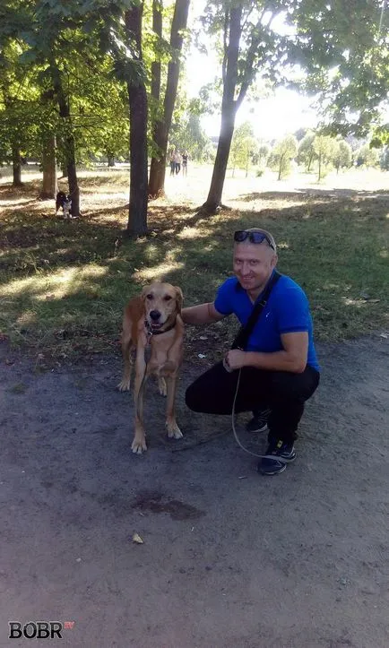 Expoziția de câini de vânătoare a avut loc în Bobruisk Bobruisk - Noutăți
