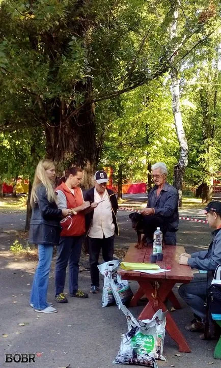Изложбата на ловни кучета се проведе в Бобруйск Бобруйск - Новини