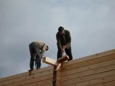 Protejarea remedii populare din lemn