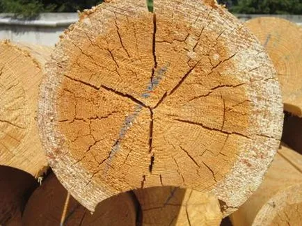 Protejarea remedii populare din lemn