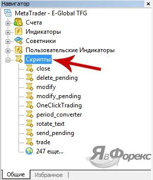 Forex скриптове за MetaTrader 4 терминал