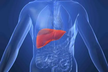 simptome de hepatită fulminantă și tratamentul formei acute