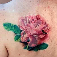 Înțeles tatuaje - un trandafir - fete și bărbați