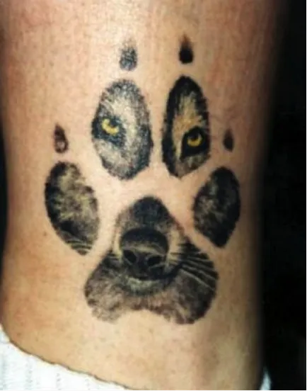 Înțeles tatuaj (tatuaje) Wolf