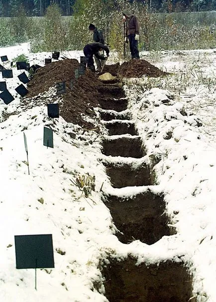 10 fapte din viața unui cadavru neidentificat în România