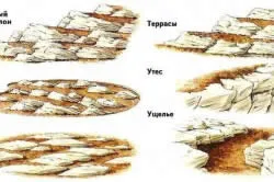 Alpine хълм в градината със собствените си ръце - градинска украса