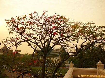 Ancient siam (Mueang boran) - Bangkok, un blog interesant trăiește cu visul!