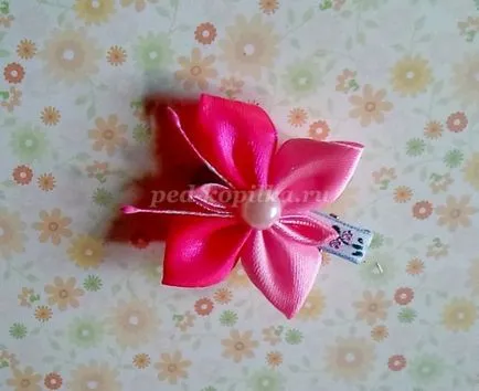 kanzashi fluture pentru băieți Master class cu tutoriale foto și video