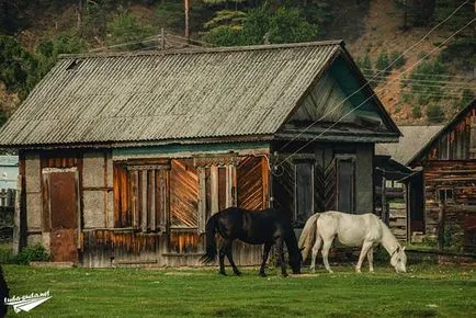 Great Baikal Trail