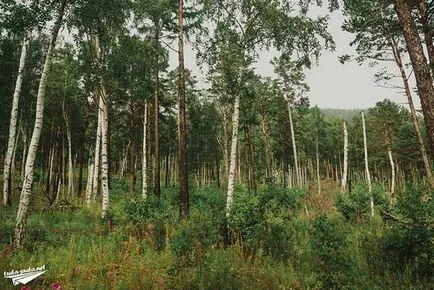 Nagy Bajkál Trail