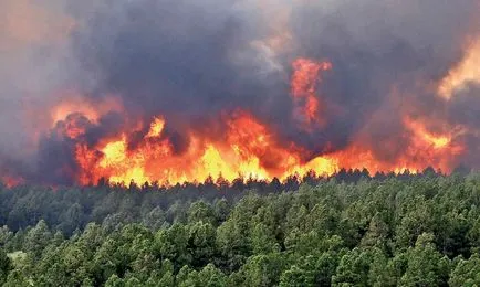 Az erdőtüzek kockázatát, hogy Ulyanovsk