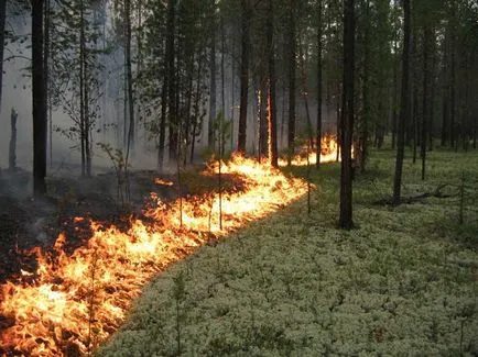 Az erdőtüzek kockázatát, hogy Ulyanovsk