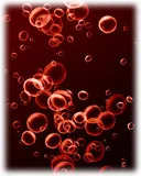 Ceea ce știm despre imunitatea celulară