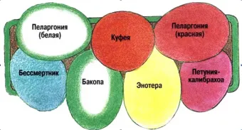 Compoziții colorate debarcărilor de circuit balcon flori