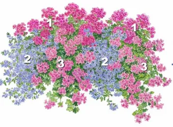 Compoziții colorate debarcărilor de circuit balcon flori