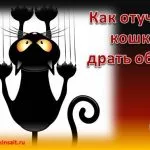 Бляскави подстригване котки - снимка
