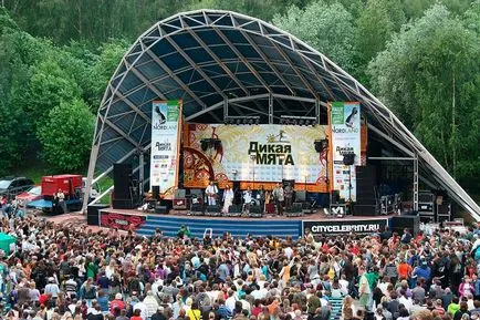 Wild menta - Fesztivál Magyarországon, hogyan juthat