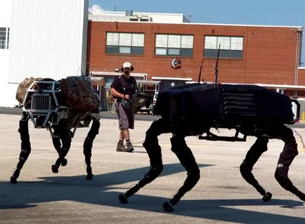 Zece roboți, crearea care inginerii inspirat animale si insecte