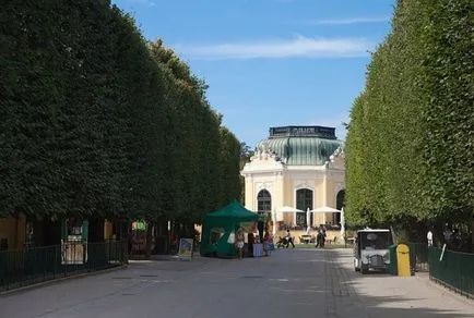 Donturistik, Grădina Zoologică din Viena