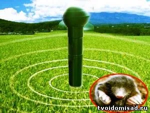 Електронен ултразвуков Repeller antikrot зелен средство колан за мол плъхове, мола и