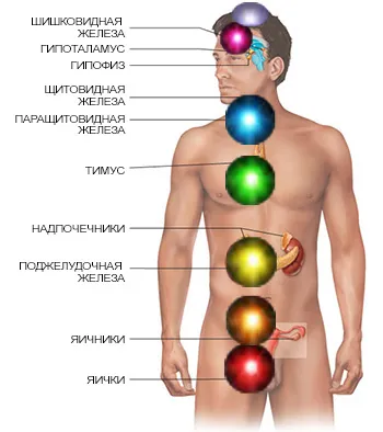 Sistemul endocrin și eșecul hormonale