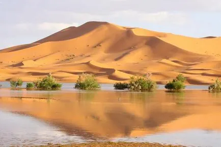Dunes - пясък живописна планина - дивия див свят
