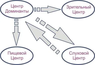 Forma de învățare bazată pe dominantă - studopediya